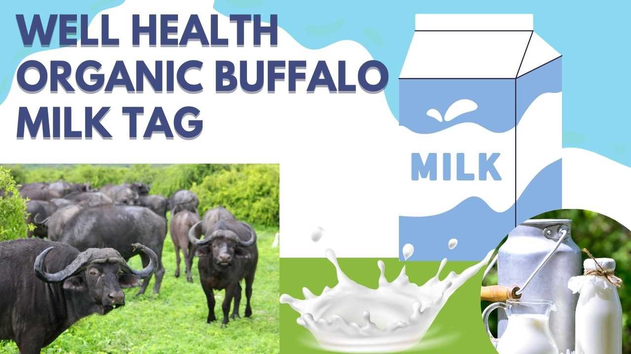 wellhealth organic buffalo milk tag